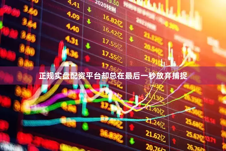 正规实盘配资平台却总在最后一秒放弃捕捉