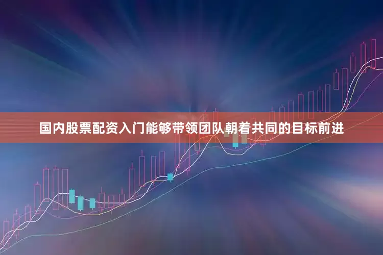 国内股票配资入门能够带领团队朝着共同的目标前进